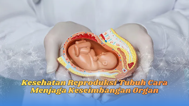 kesehatan reproduksi tubuh