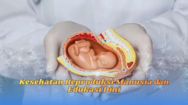 kesehatan reproduksi manusia