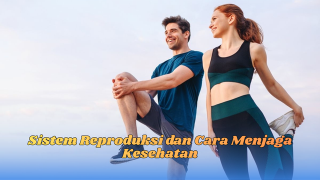 sistem reproduksi