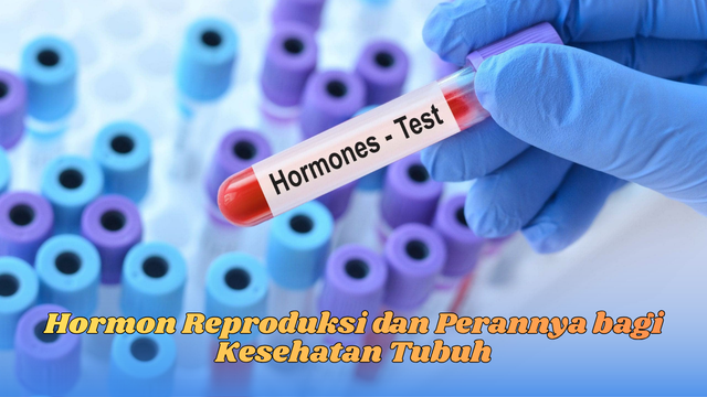 hormon reproduksi